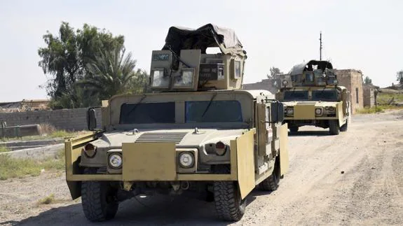 Vehículos del Ejército iraquí durante la ofensiva para recuperar Faluya. 