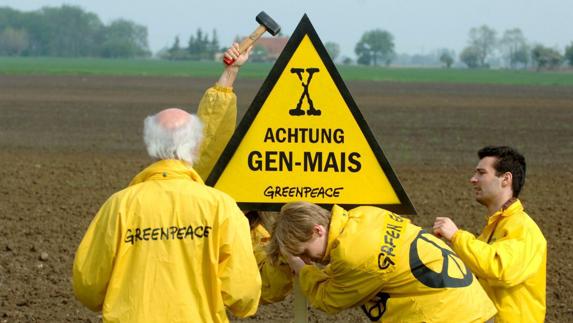 Activistas de Greenpeace protestan contra los alimentos transgénicos.