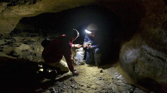 Recogida de material sedimentado en El Sidrón.