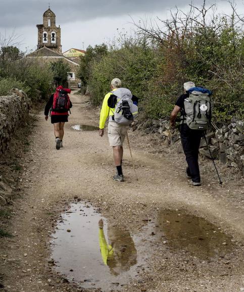 Peregrinos en el Camino de Santiago. 