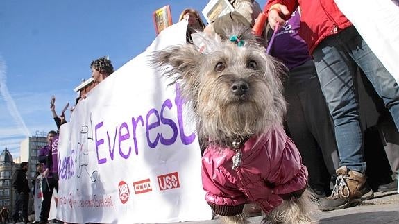 La propiedad de Everest recurre todas las actuaciones del administrador concursal mientras se liquidan "saldos"