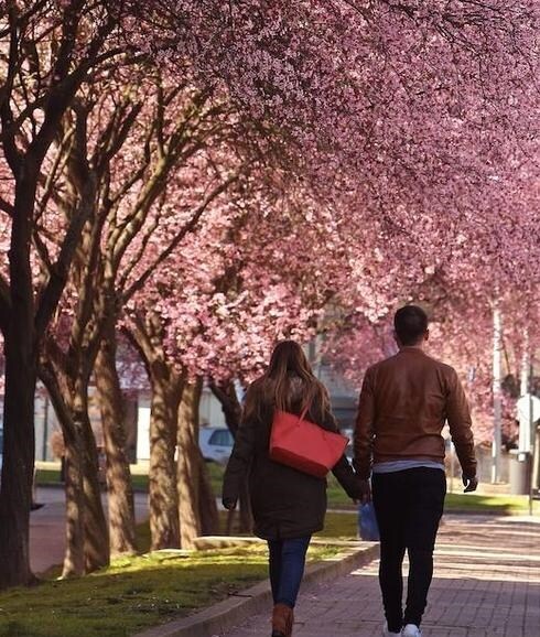 Primavera en Ponferrada 