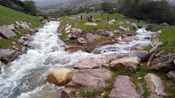El arroyo del Alcedo, canalizado a finales de 2014 para que deje de perder caudal tierra adento
