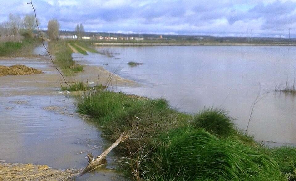 Imagen de las inundaciones en la localidad de Villaquejida.