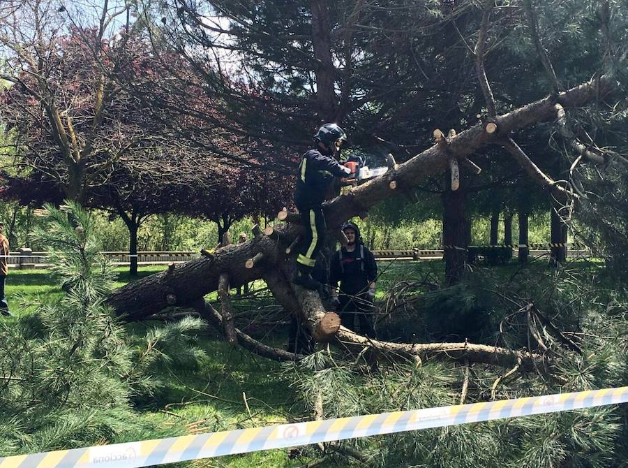 Los Bomberos de León actuaron con gran celeridad