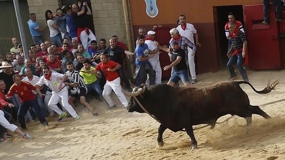 Tres heridos por asta y otro con un neumotórax en el Toro Enmaromado de Benavente