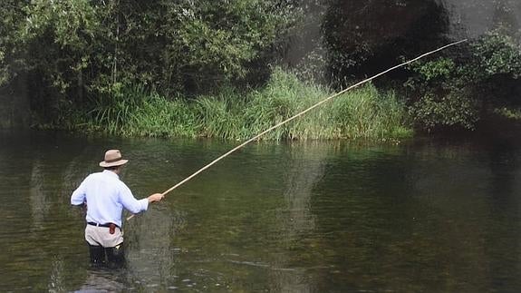 Fotografía ganadora