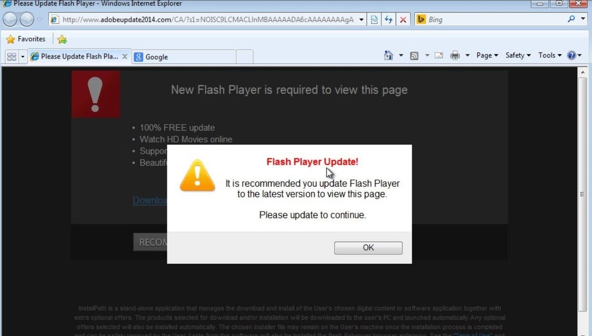 Imagen de un error en Flash Player.