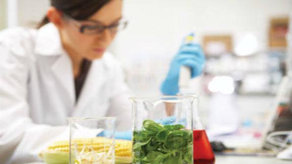 La ULE acogerá el XX Congreso nacional de microbiología de los alimentos