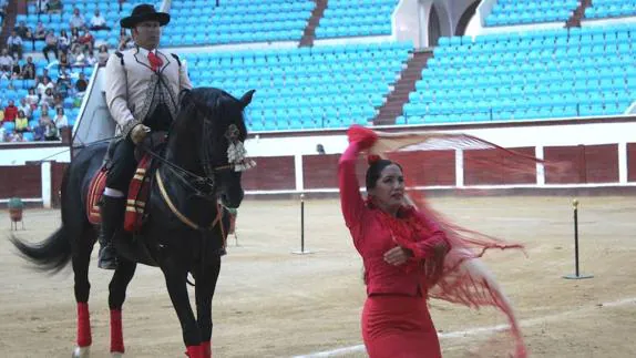 Espectáculo de flamenco y caballo.