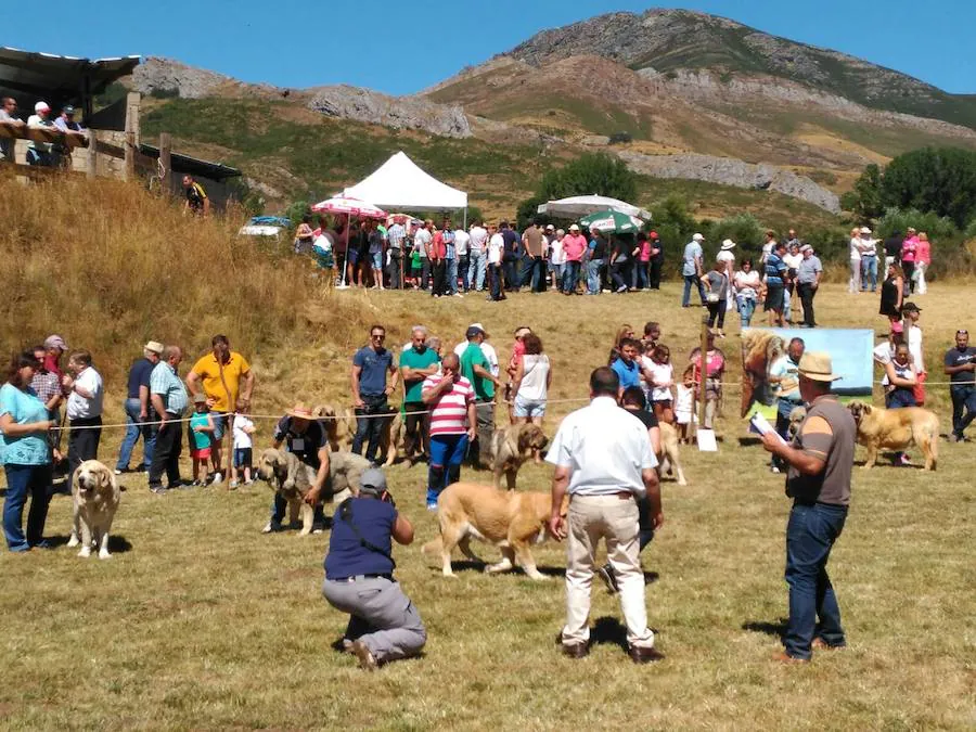 San Emiliano acogió este certamen.