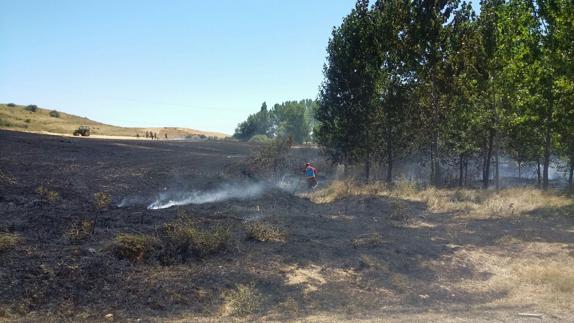 Superficie quemada por el incendio. 