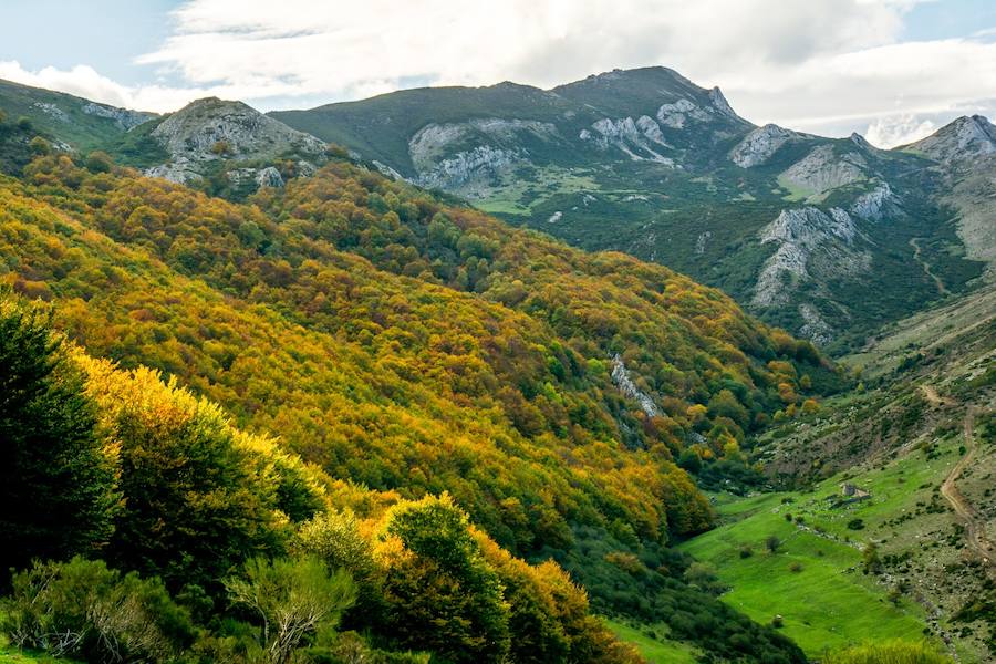 Arroyo Palanco y Cerro Pedroso. 