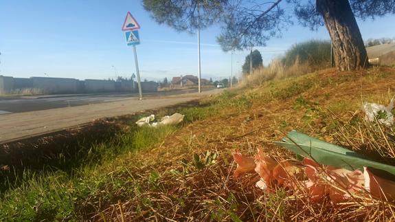 Imagen de la zona en la que Diego fue atropellado y donde una bici blanca recordaba su memoria.