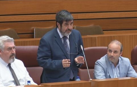 Mitadiel, durante una intervención en las Cortes.