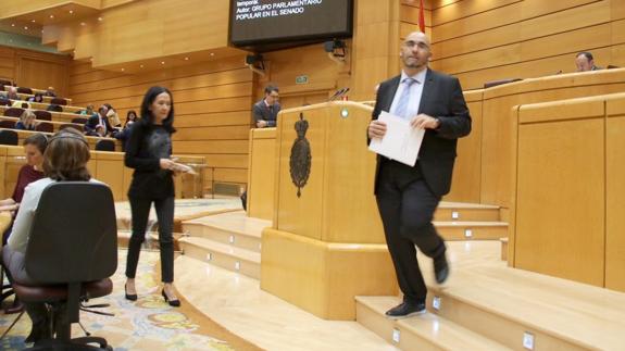 El senador de Compromís en la tribuna de la Cámara Alta.