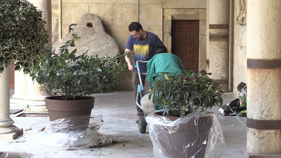 Un operario coloca las plantas en el patio del Palacio de los Guzmanes. 