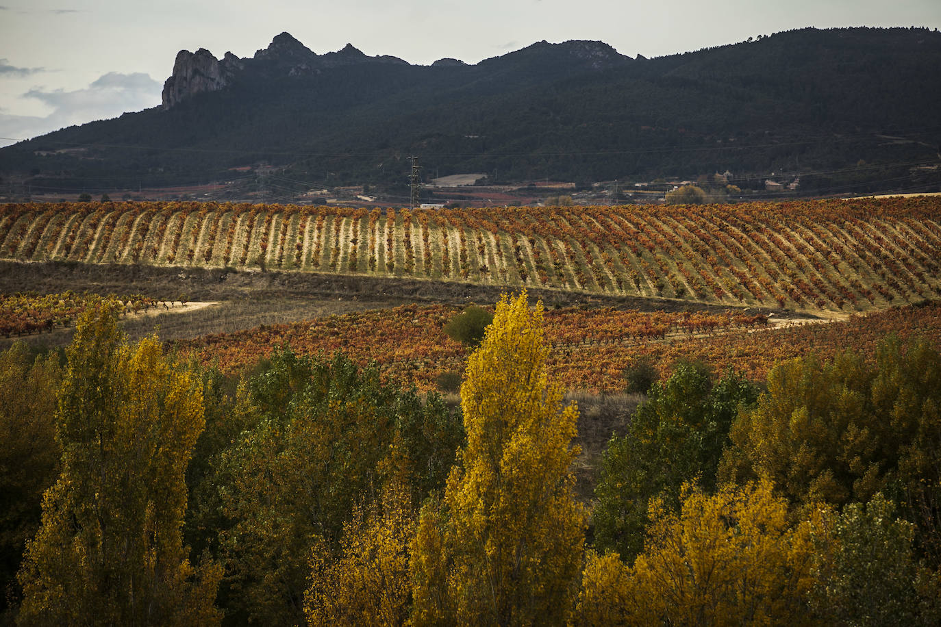 Fotos: El otoño transforma el paisaje de La Rioja