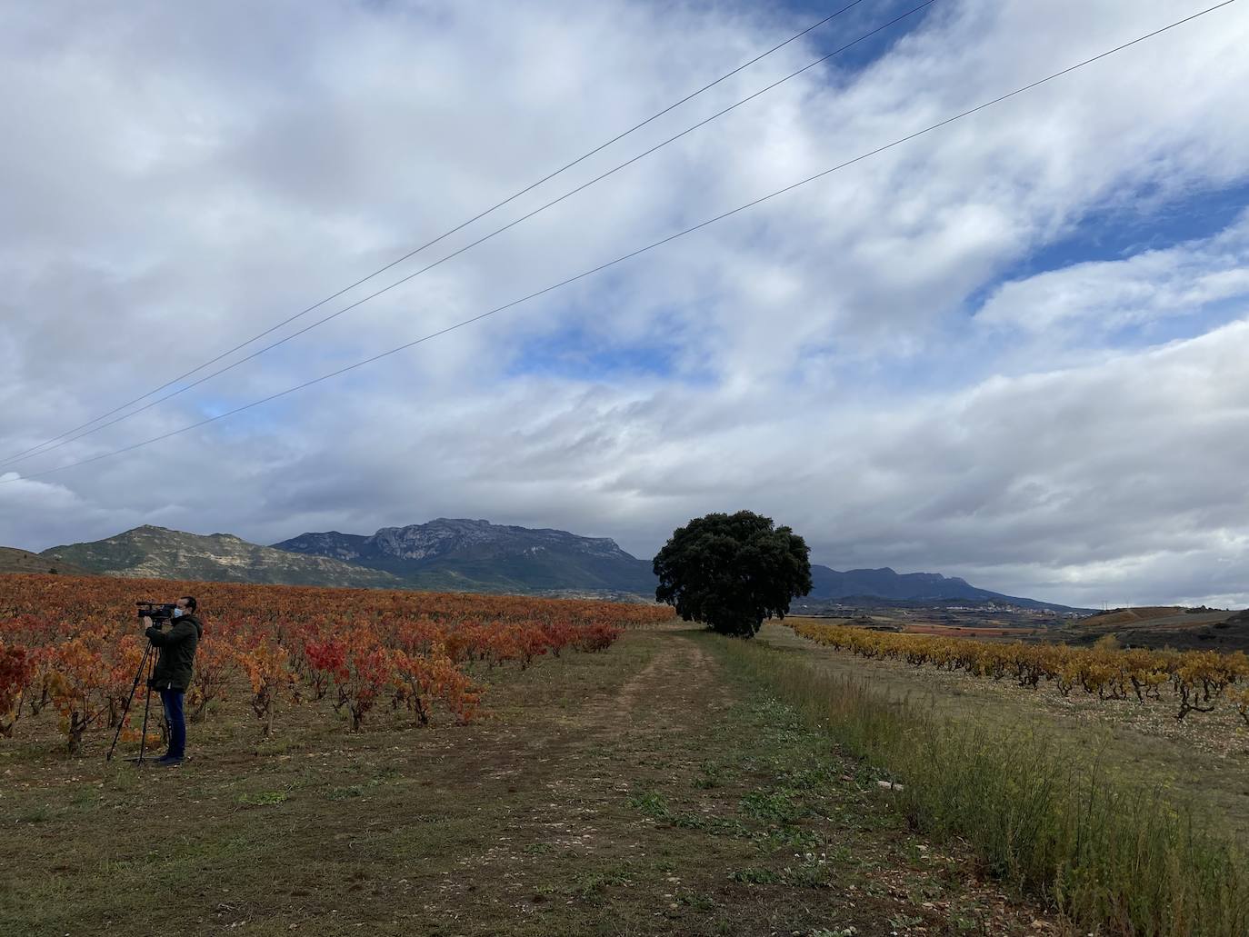 Fotos: Bodegas Bilbainas celebra sus 120 años