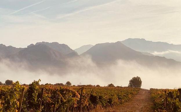 Rioja Report TIm Atkin: La ruta de Tim Atkin por La Rioja: «This place is ridiculously beautiful»