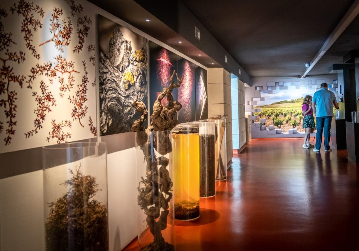 Lo mejor del vino de Rioja