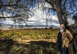 Paz, calma y magia en el viñedo de Briones.