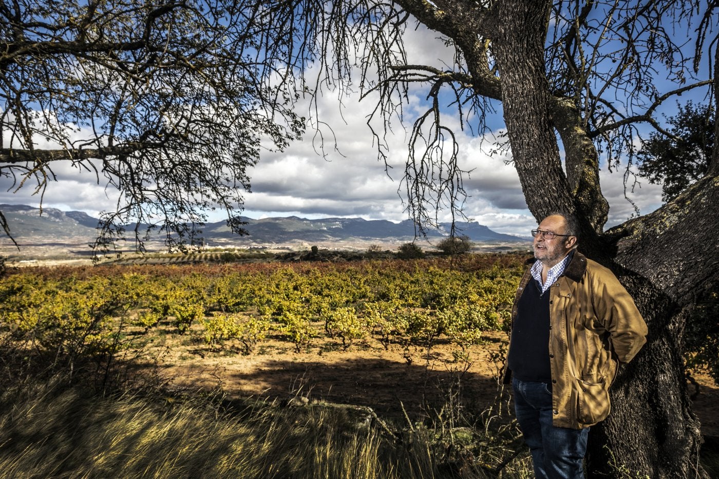 Lo mejor del vino de Rioja