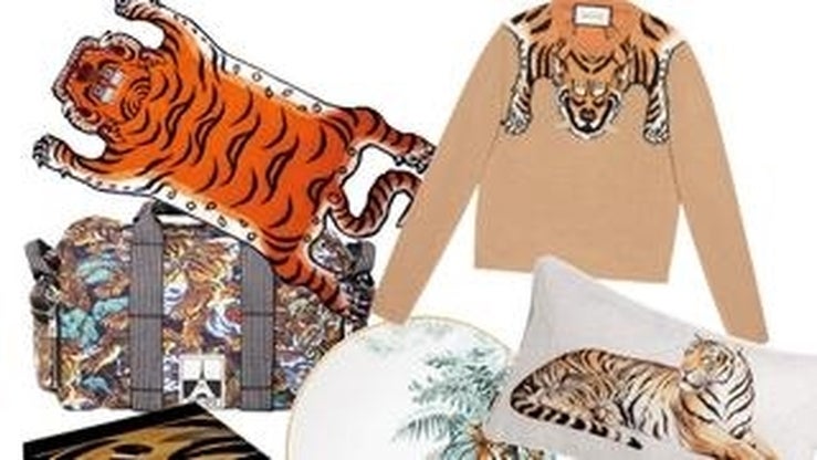 Fotos: Las fieras de mi casa