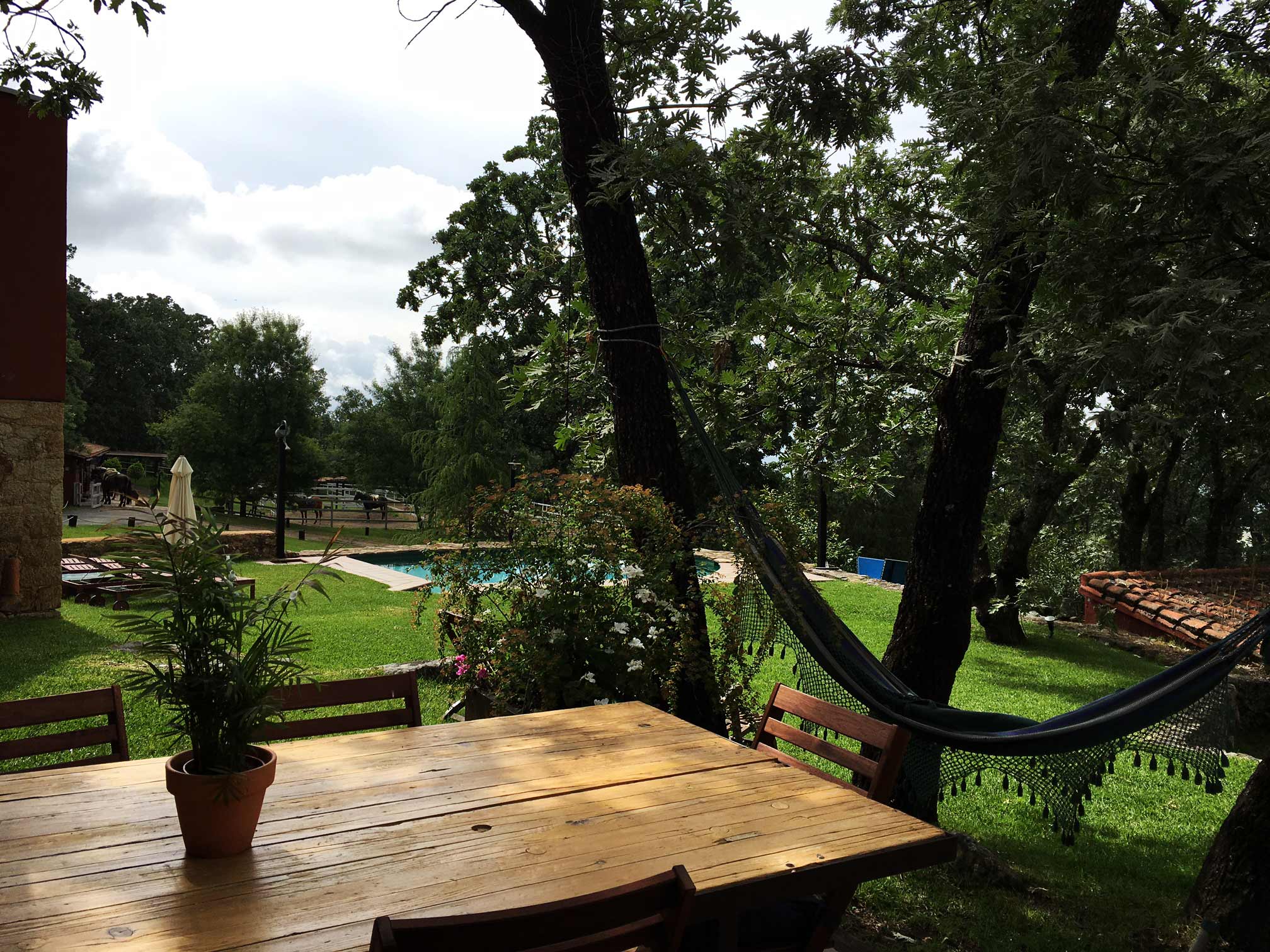 ... necesitas un 'plan détox tecnológico', necesitas encontrar un lugar en medio de la naturaleza en el que el tiempo se pare, tu teléfono se quede sin cobertura y 4G y la paz que rodea todo haga que se te olvide pedir la contraseña del Wifi del hotel. Se llama Candelaria Experience y está en Candeleda, Ávila.