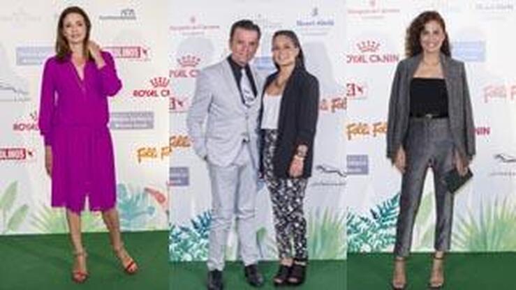 Fotos: III edición Premios Corazón Solidario