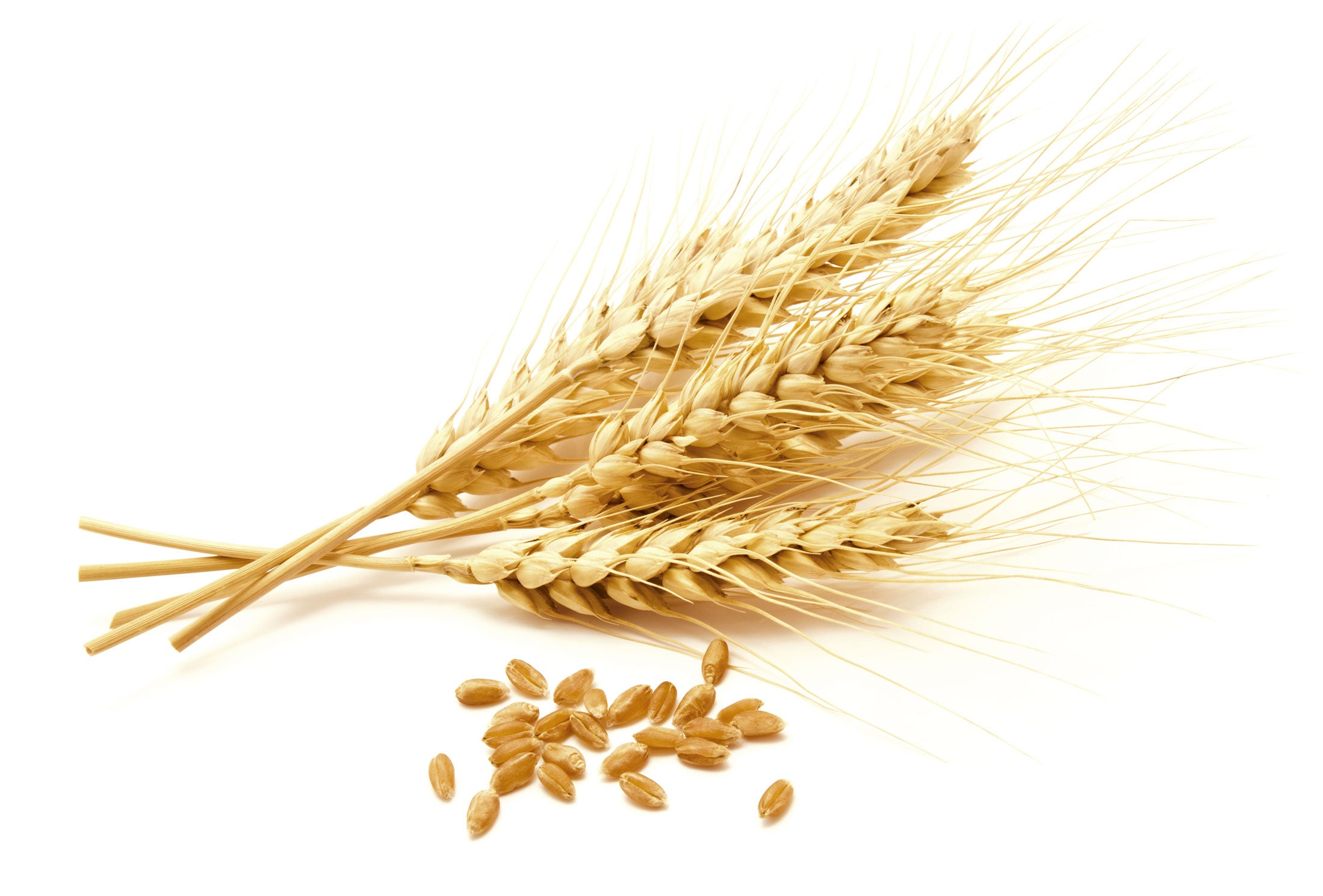 Son ricos en fibra dietética que acelera el tránsito intestinal y arrastra las sustancias cancerígenas previniendo el cáncer de estómago y de colon. Al impedir que esas sustancias sean absorbidas, protegen también contra el cáncer de páncreas y de mama. También contienen una cantidad considerable de antioxidantes, vitaminas, minerales y fitoquímicos, como los ácidos fenólicos.