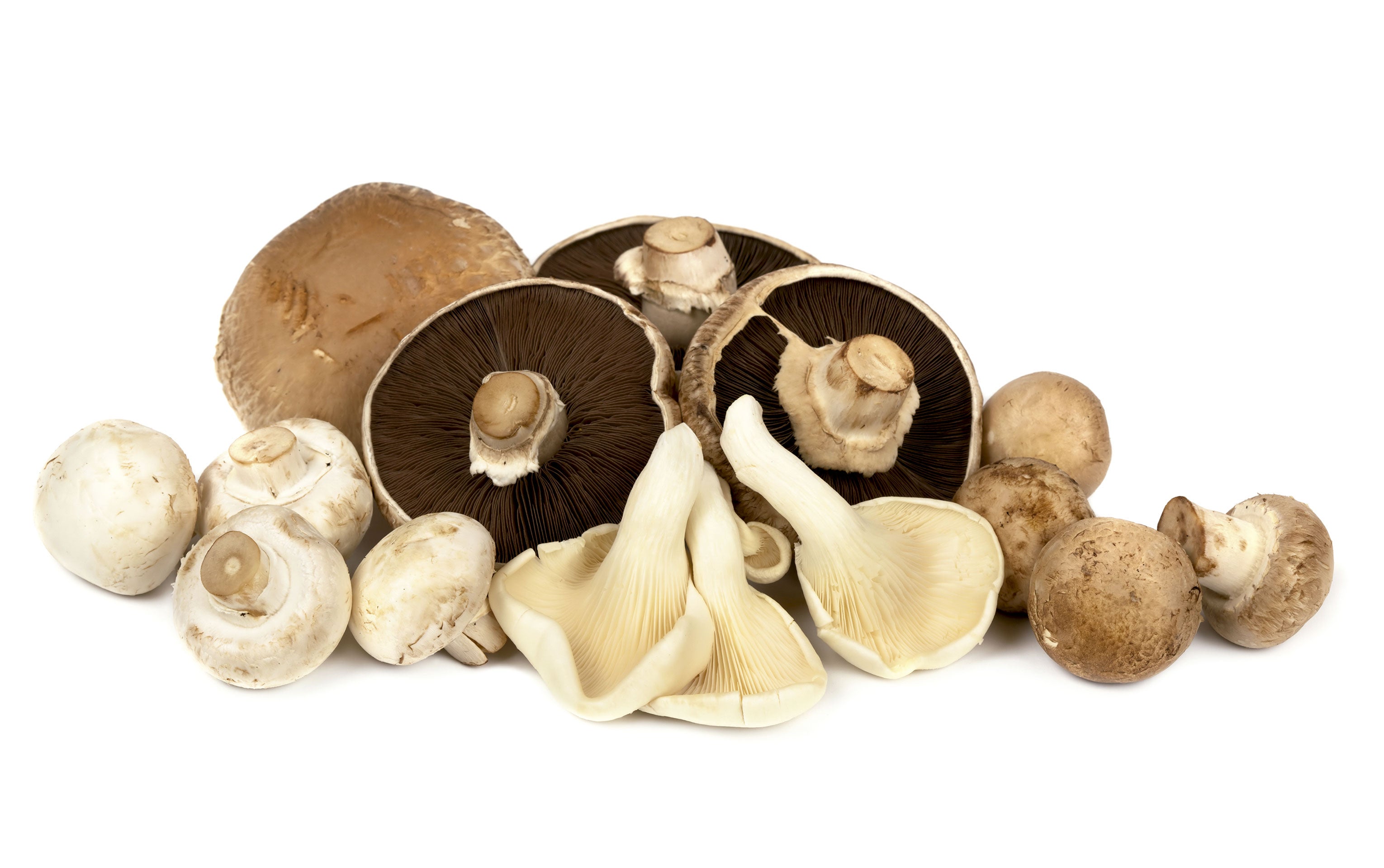 Utilizadas más por la medicina oriental, existen estudios en China, Japón y Estados Unidos sobre algunas propiedades anticancerígenas. El lentinano y los betaglucanos que contienen estimulan el sistema inmune y, de esta manera, se frena el crecimiento de las células tumorales y la aparición de metástasis. Además, son hipocalóricas, ideales para el control de peso.