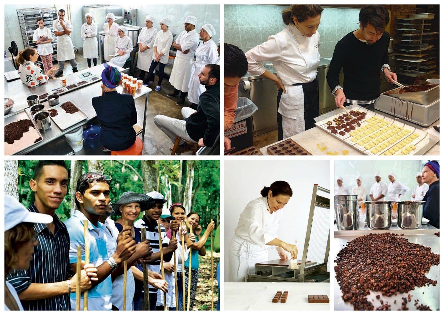 María Fernanda Di Giacobbe, la ganadora ha creado en Venezuela una red de educación, investigación y desarrollo con el cacao como protagonista.