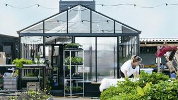 Fotos: Descubre los secretos para disfrutar de la temporada gastronómica