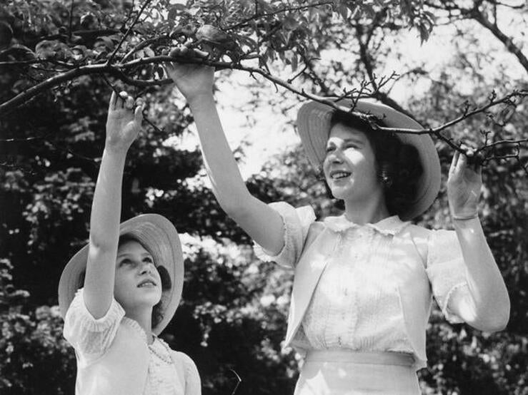 Fotos: La vida de la Reina Isabel II de Inglaterra, en fotos