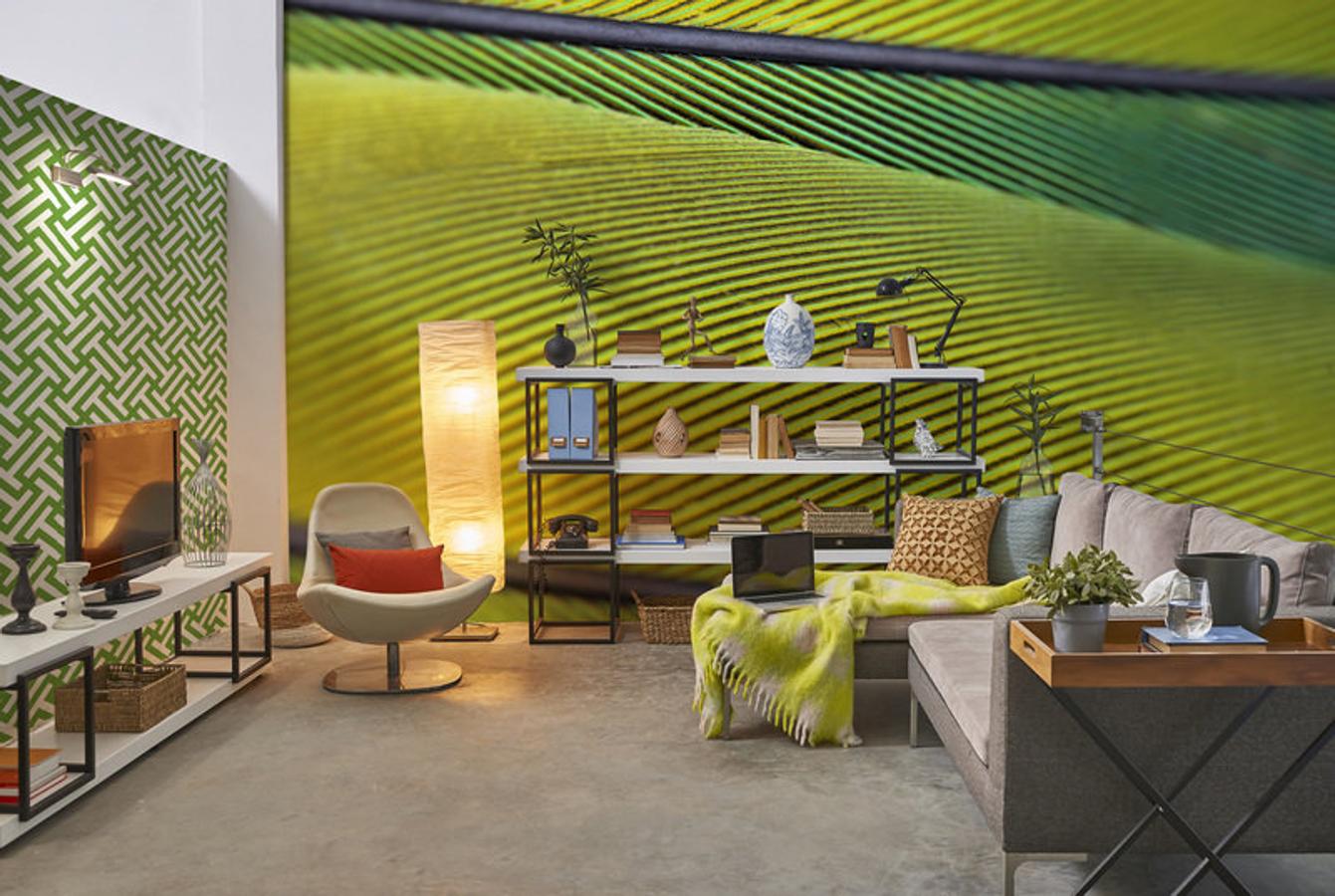 Los murales tropicales de Pixers son una apuesta segura... ¡y genial!