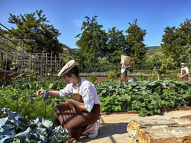 Huerto eco en el Douro.