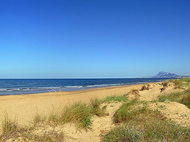 Galería. Playa de Oliva, en Valencia