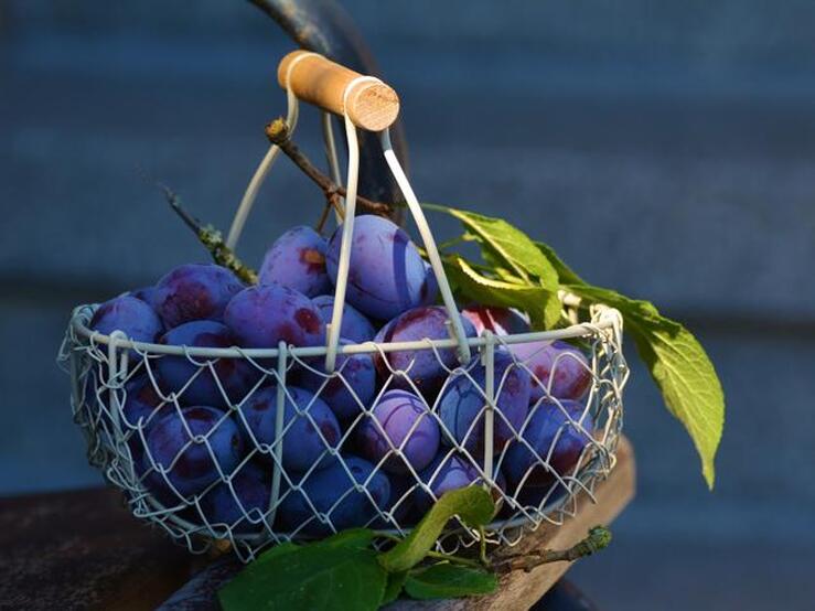Fotos: Los mejores alimentos para combatir el estreñimiento