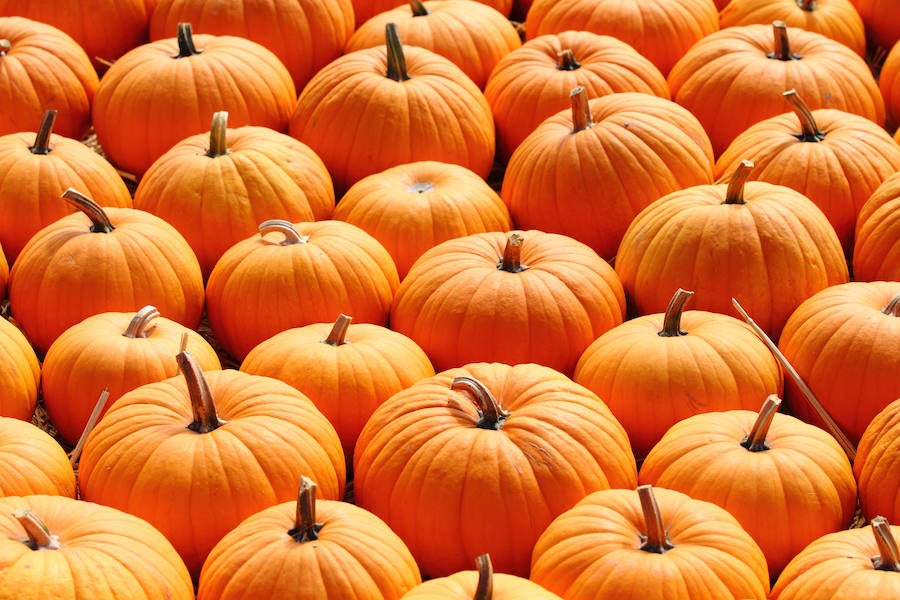 La calabaza es baja en calorías y rica en fibra, tanto soluble como insoluble lo que mejora el tránsito intestinal, previene el estreñimiento. Su contenido en potasio y escaso aporte de sodio hacen que su consumo sea beneficioso si existe hipertensión. Rica en betacarotenos que se transforman en Vitamina A, cuida de la salud ocular. Tiene efecto saciante y sus mucílagos protegen la mucosa del aparato gastrointestina.