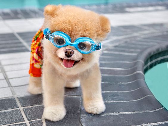 ¡Ya estamos listos para ir a nadar!