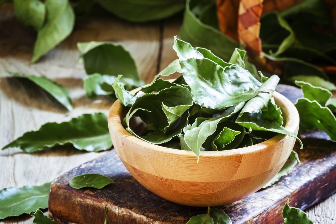 La hoja de laurel contiene 43 miligramos de hierro por cada 100 gramos de porción comestible.