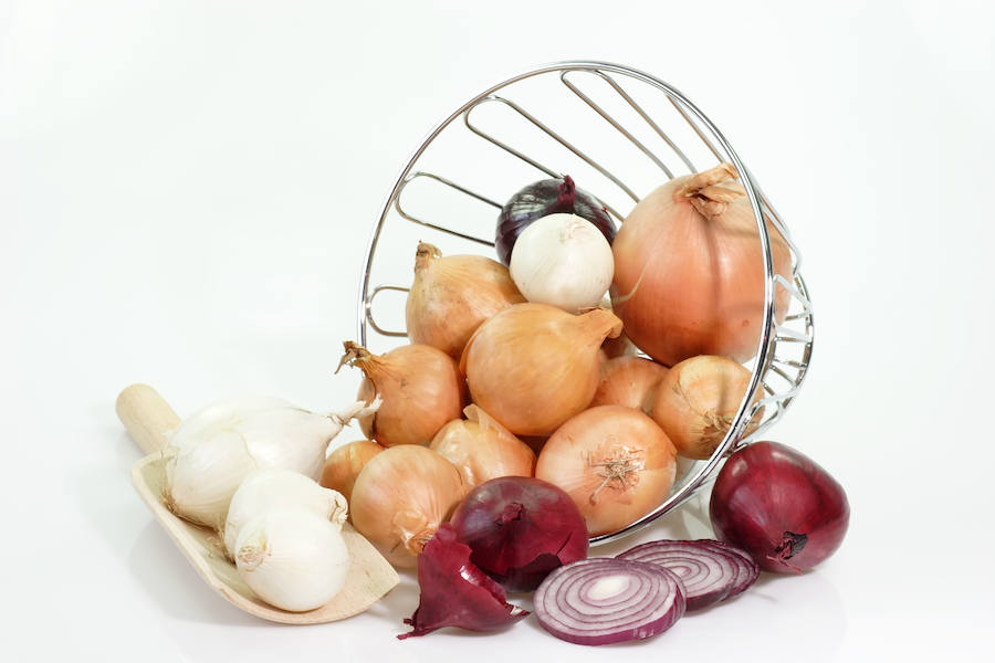 La cebolla alivia la congestión pulmonar, calma la tos y desinfecta las mucosas. Su contenido en quercetina y cisteína la convierte en un gran aliado contra alergias y afecciones como el asma, la sinusitis, la rinitis o la bronquitis, si se consume de forma frecuente. Sus propiedades de limpieza y expectoración se deben a los compuestos azufrados presentes en los alimentos del género allium (ajos, cebollas, puerros, calçots) y las crucíferas (coles, rábanos, mostaza...).