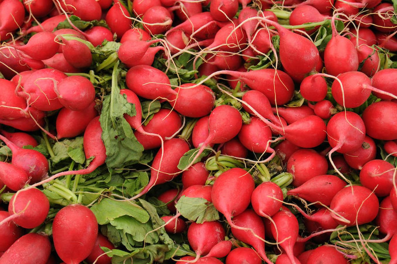 Los rábanos contienen 0,7 gramos de ácido alfa-linolénico, un tipo de omega 3, por cada 100 gramos.