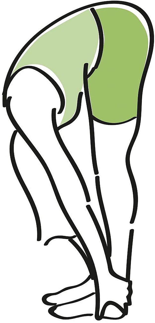 Bien estirada: la pinza.