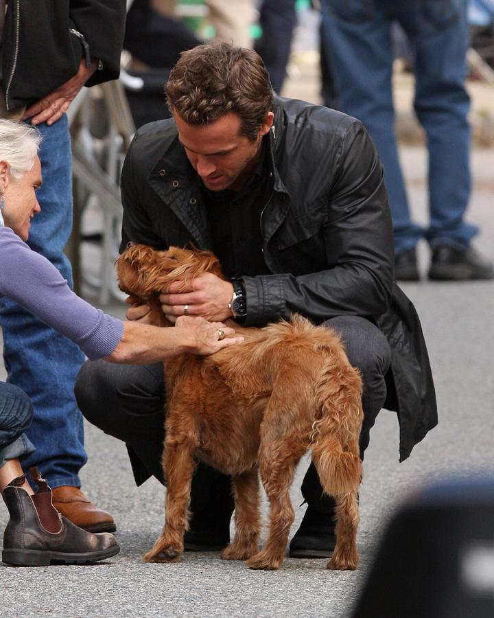 Fotos: 39 fotos para enamorarte de Ryan Reynolds