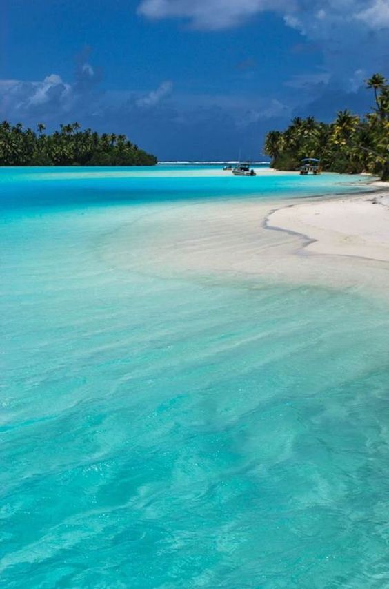 Nueva Zelanda es tu destino si te encantan las islas desiertas y los paisajes de película. No puedes perderte los fiordos de Milford Sound o el Parque Natural Abel Tasman porque son rincones mágicos que te harán vivir momentos únicos.
