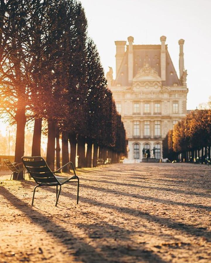 Compráte un café, elige un buen libro, abrígate bien, y pasa una tarde rodeada de los colores que pintan los Jardines de Luxemburgo. (Foto: Pinterest)