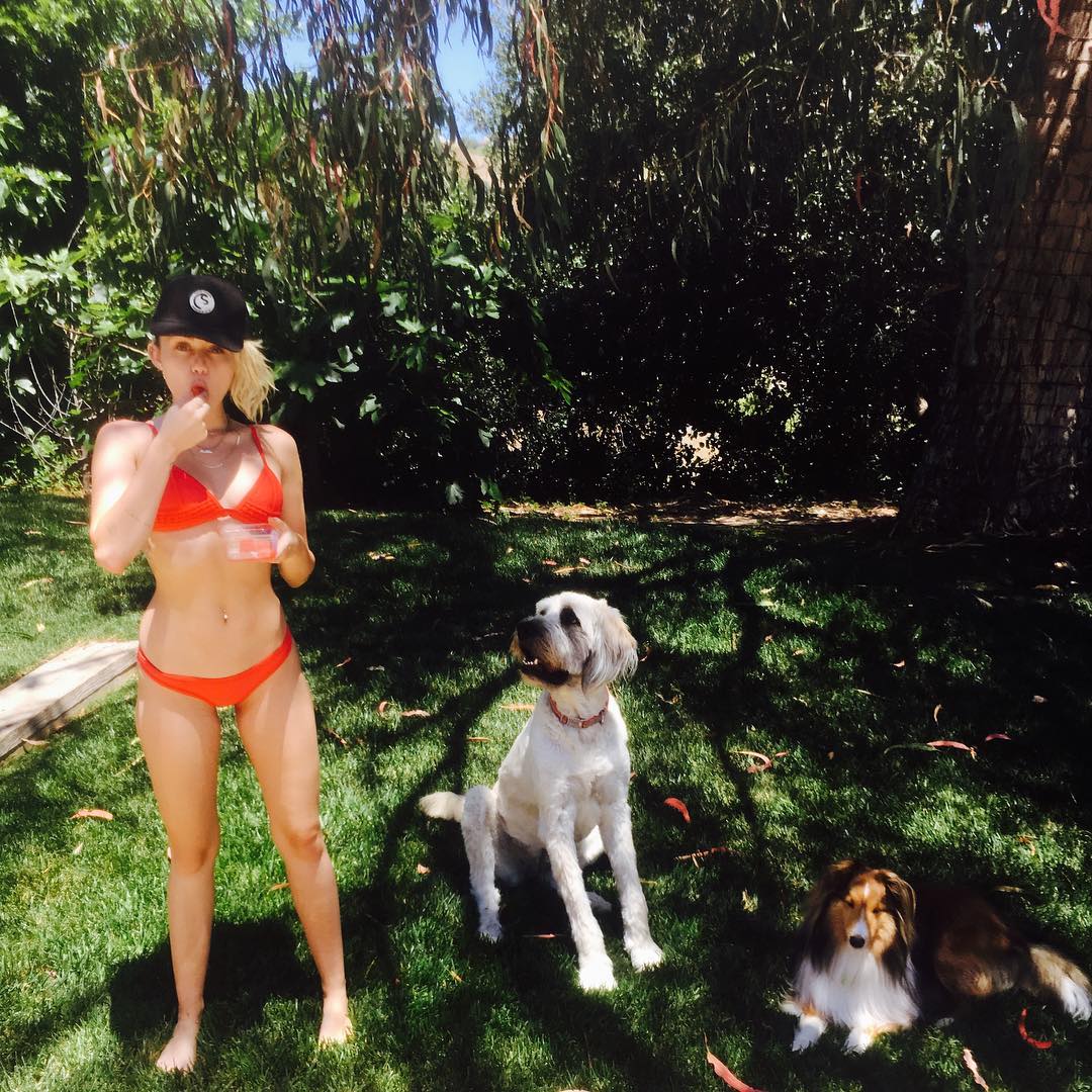 Miley Cyrus, con su estilo tan desenfadado como siempre, luce un bikini naranja que ¡le queda fenomenal! Nada más y nada menos que para inaugurar el veranito.