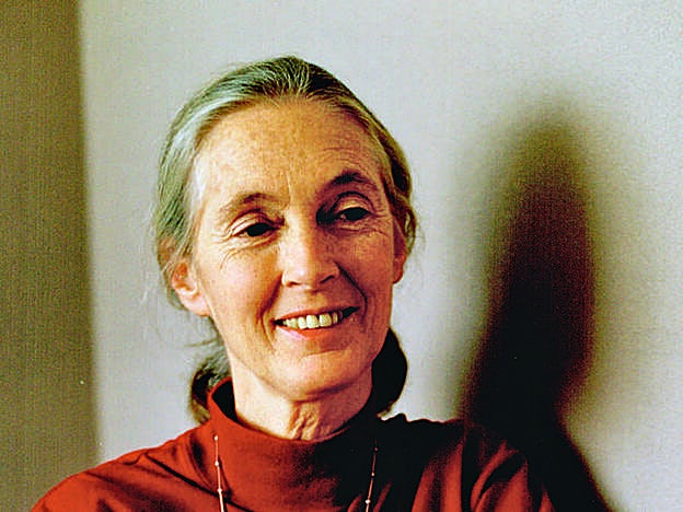 Jane Goodall